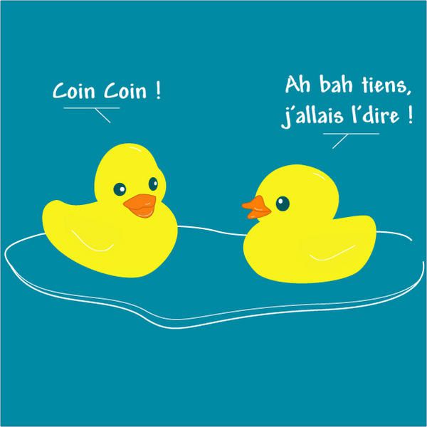 coincoin2.jpg