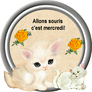 C\'est ici qu\'on se présente et qu\'on discute - Tome 38 - Page 5 Mercredi-chat