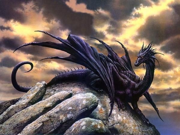 Aerin ♦ Fondatrice ♦ Elfe louve garou Dragon-noir